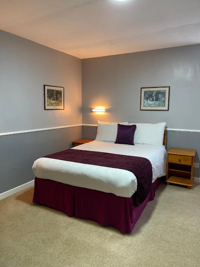 Palm Court B&B Ilfracombe Bagian luar foto