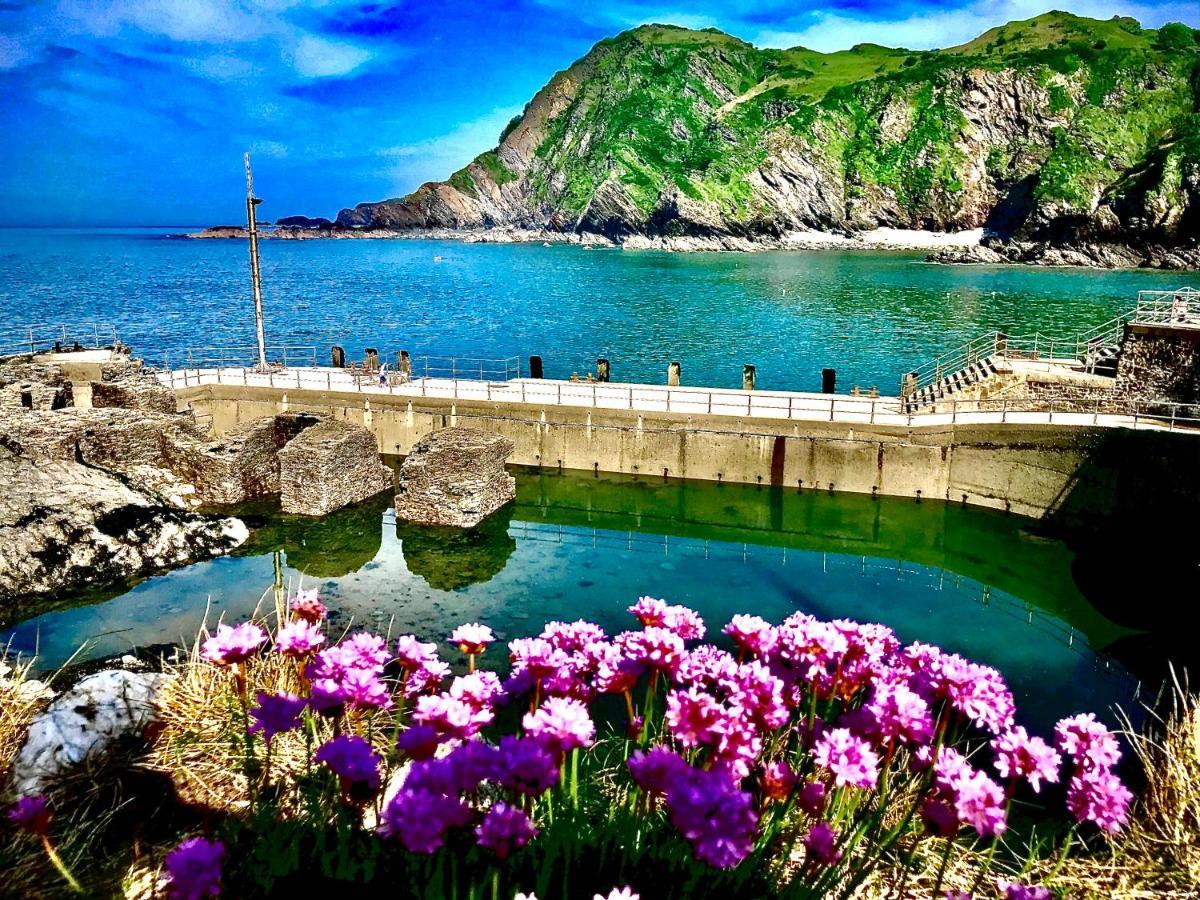 Palm Court B&B Ilfracombe Bagian luar foto