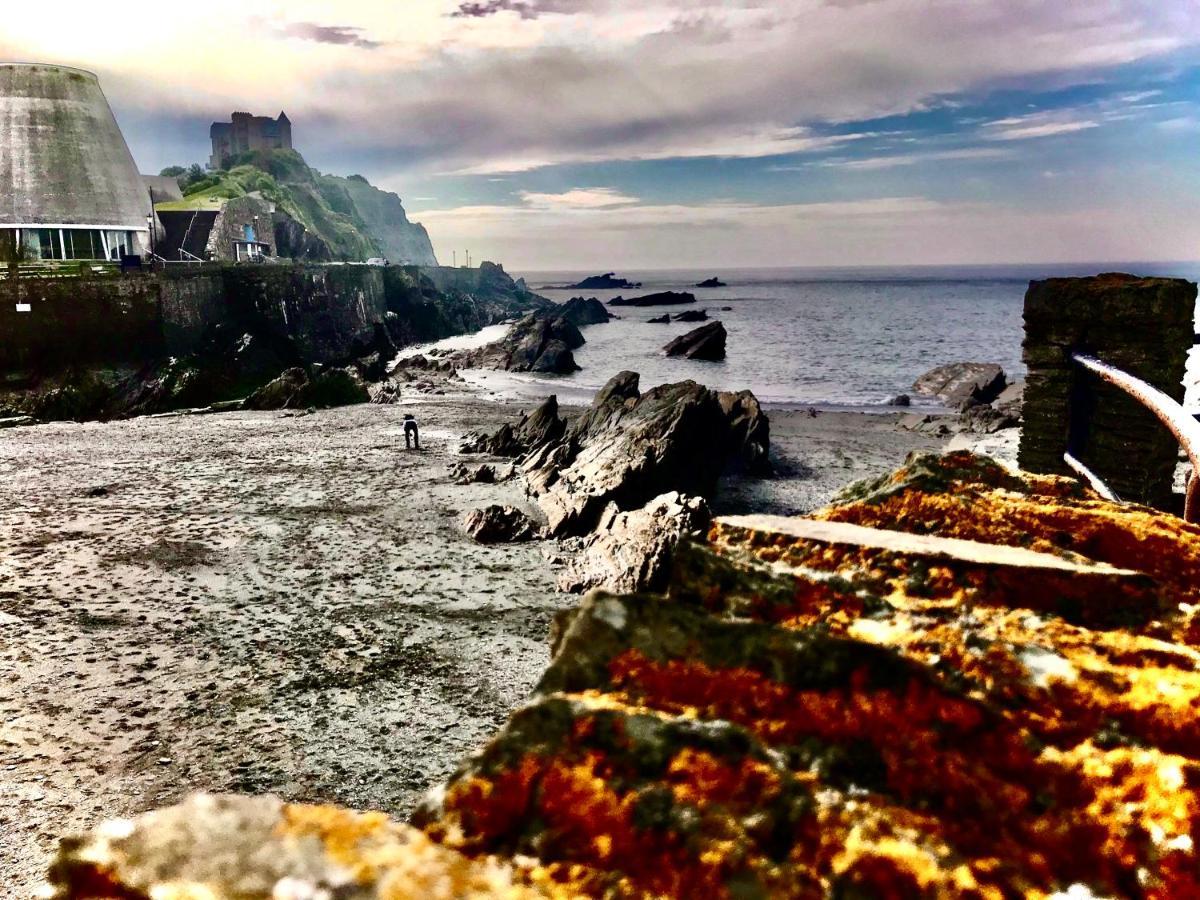 Palm Court B&B Ilfracombe Bagian luar foto